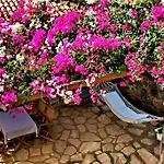 فندق Tuerk Evi 4*